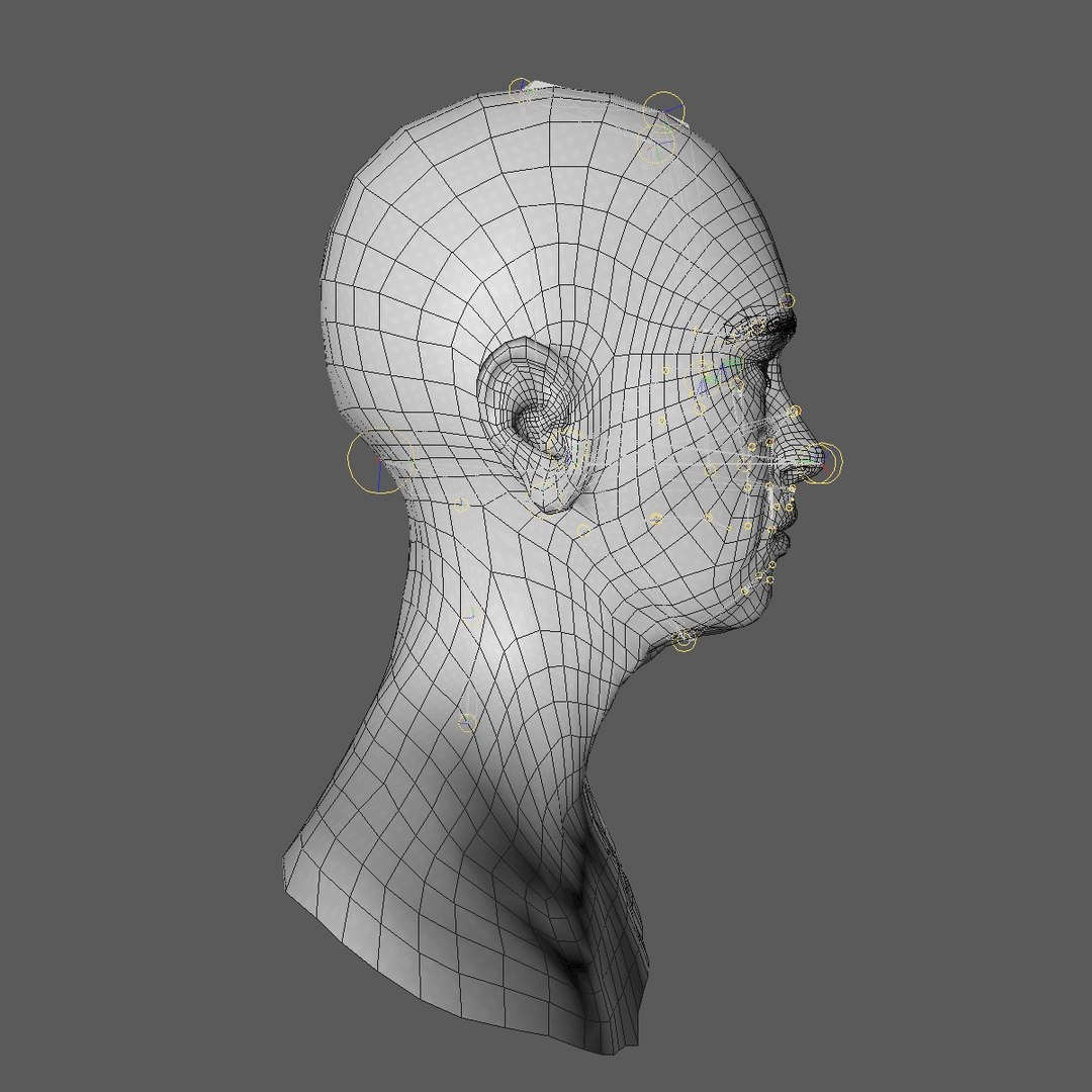 realistic rigged head 70 3D https://p.turbosquid.com/ts-thumb/5z/aU4pdg/GRhaftTM/70yreurowomanheadv21_0009/jpg/1566517318/1920x1080/fit_q87/7bd15ac4317b7614d699e56cf7ad734c6a754db2/70yreurowomanheadv21_0009.jpg