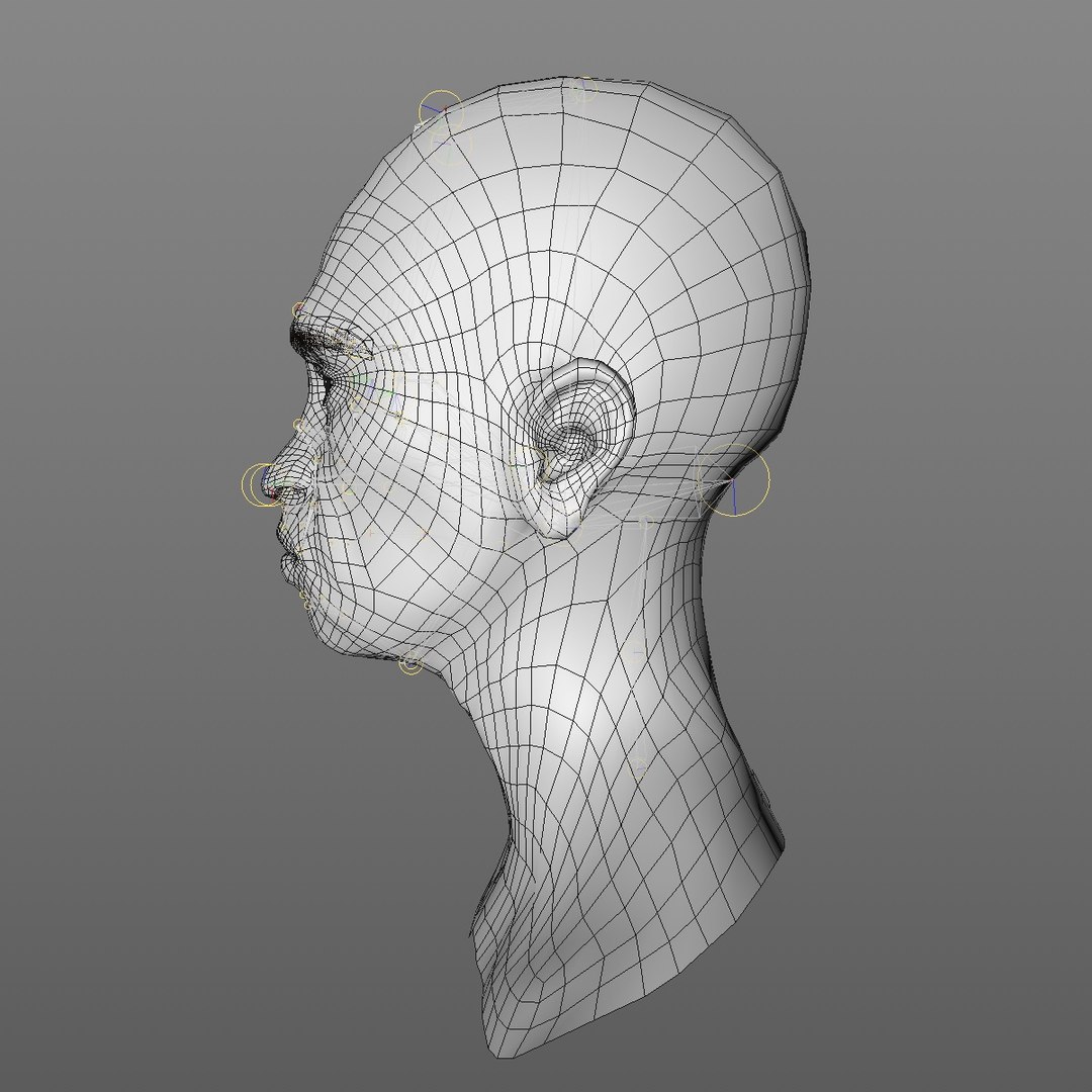realistic rigged head 70 3D https://p.turbosquid.com/ts-thumb/5z/aU4pdg/GaTB4IGO/70yroldafricanwomanheadv22_0003/jpg/1566517629/1920x1080/fit_q87/e038032d5324d78ccede582f3e3074f565afa0fc/70yroldafricanwomanheadv22_0003.jpg