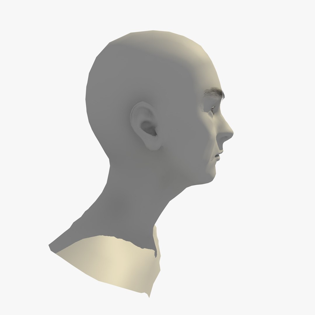 realistic rigged head 70 3D https://p.turbosquid.com/ts-thumb/5z/aU4pdg/Gqlxft6w/70yreurowomanheadv11_0009/jpg/1566517192/1920x1080/fit_q87/0823a3eecd1736d765a34badce4cf0145134c846/70yreurowomanheadv11_0009.jpg
