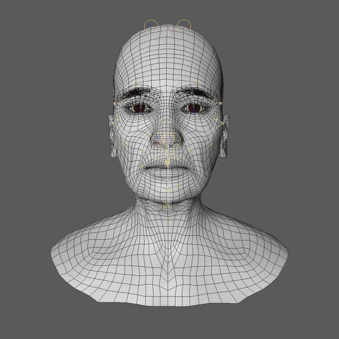 realistic rigged head 70 3D https://p.turbosquid.com/ts-thumb/5z/aU4pdg/HUStWgN9/70yreurowomanheadv21_0000/jpg/1566517317/1920x1080/fit_q87/e58ee99a9586afb358b34cea0984c0888af994a4/70yreurowomanheadv21_0000.jpg