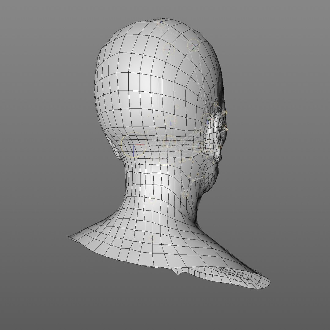 realistic rigged head 70 3D https://p.turbosquid.com/ts-thumb/5z/aU4pdg/HskYWtmM/70yroldafricanwomanheadv22_0007/jpg/1566517630/1920x1080/fit_q87/b93edc2c4c4bea7aed0525e3be7246ebe19ad53f/70yroldafricanwomanheadv22_0007.jpg