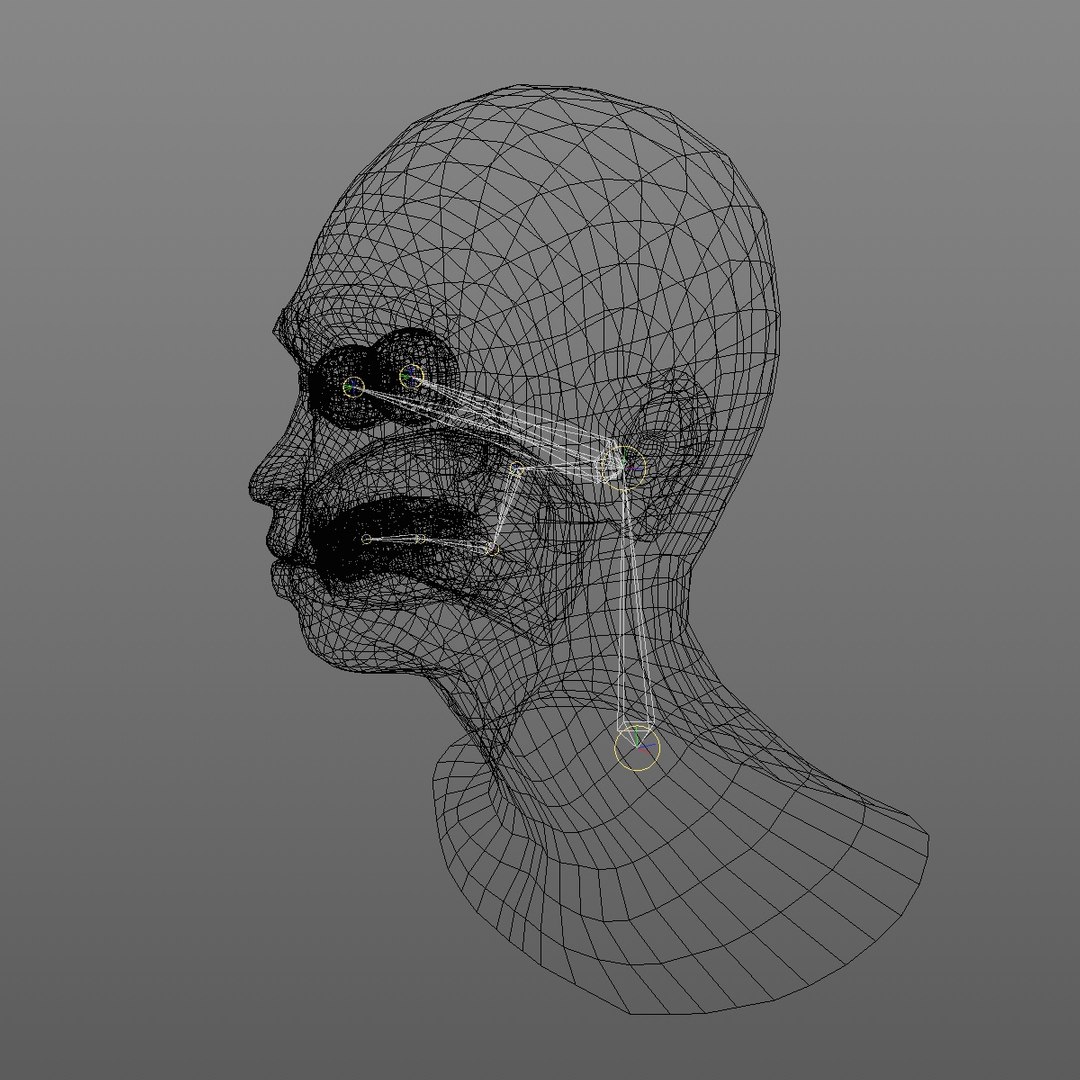 realistic rigged head 70 3D https://p.turbosquid.com/ts-thumb/5z/aU4pdg/IEWpAY72/70yroldafricanwomanheadv12_0013/jpg/1566517441/1920x1080/fit_q87/efbdb9d7fd77dea6e3780b8fa14dfb55781fe4a0/70yroldafricanwomanheadv12_0013.jpg