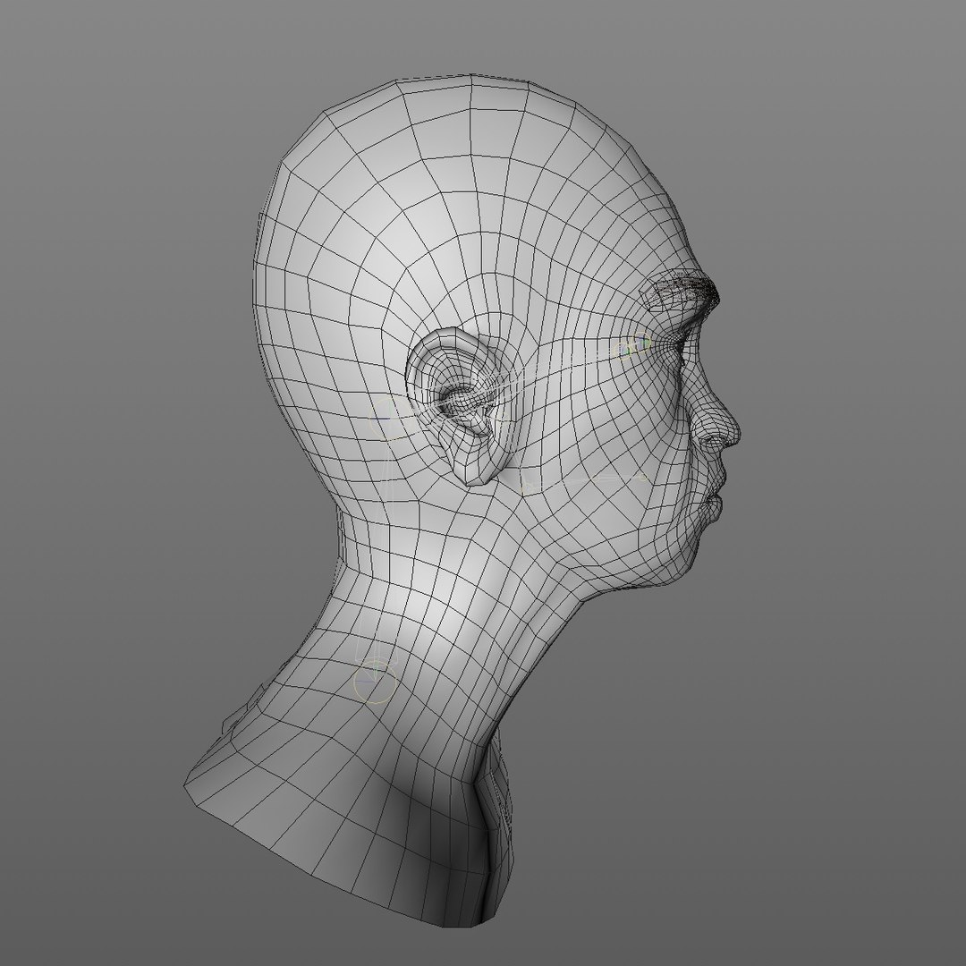 realistic rigged head 70 3D https://p.turbosquid.com/ts-thumb/5z/aU4pdg/JvezUqMG/70yroldafricanwomanheadv12_0009/jpg/1566517440/1920x1080/fit_q87/ec6a9a705195bbe705f254700cd50a614d1fbd0a/70yroldafricanwomanheadv12_0009.jpg