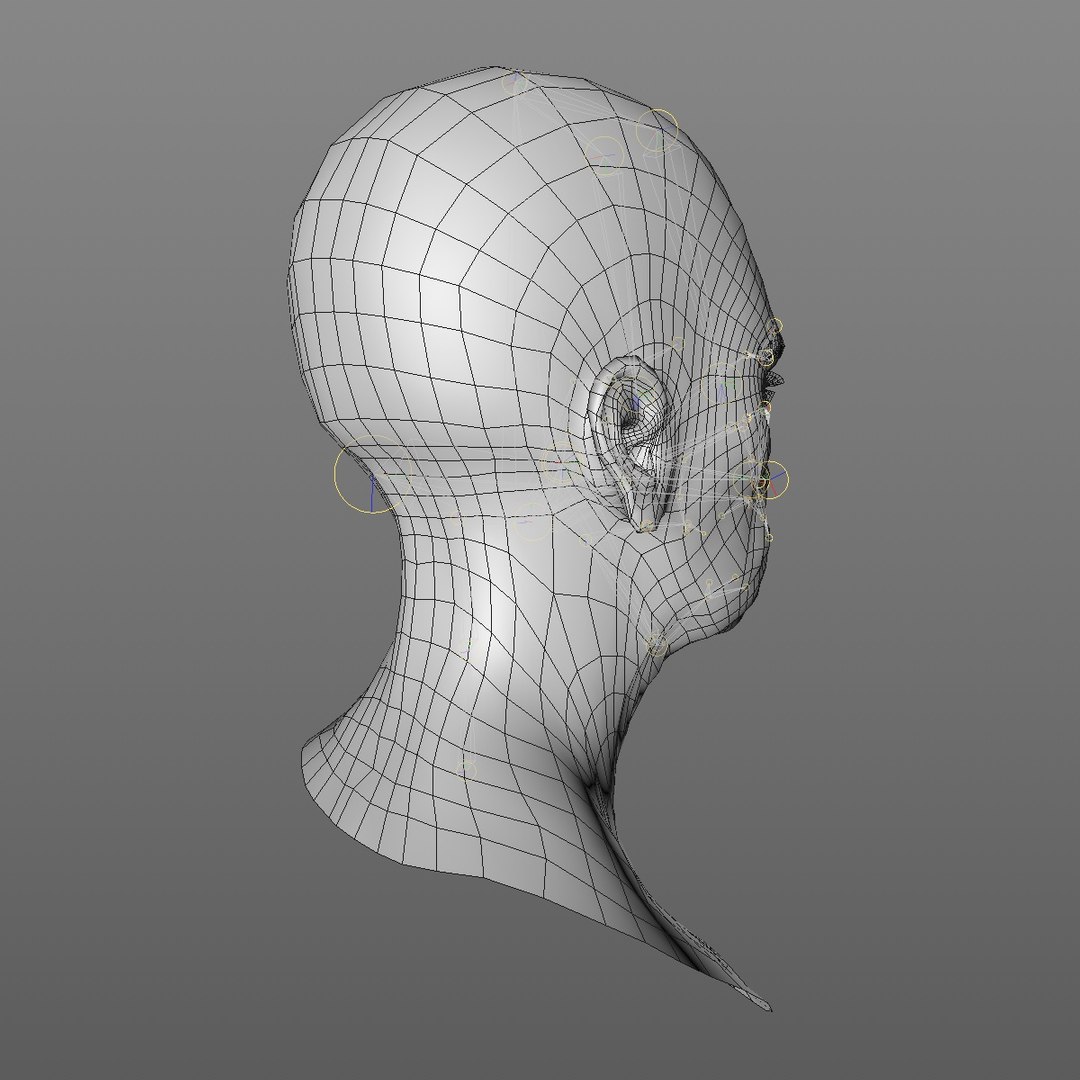 realistic rigged head 70 3D https://p.turbosquid.com/ts-thumb/5z/aU4pdg/KvgE1ap0/70yroldafricanwomanheadv22_0008/jpg/1566517630/1920x1080/fit_q87/1ffa6400f0ccde3a2d3d6ec340bab319f718a261/70yroldafricanwomanheadv22_0008.jpg
