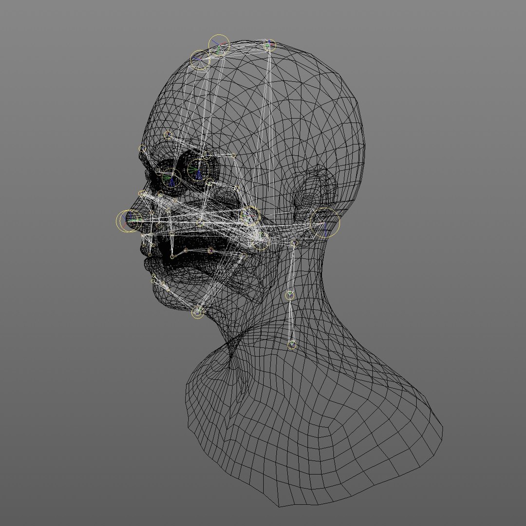 realistic rigged head 70 3D https://p.turbosquid.com/ts-thumb/5z/aU4pdg/LtFpfqSr/70yreurowomanheadv21_0013/jpg/1566517318/1920x1080/fit_q87/5a44e53ba68d332d86b9ee4edf10b0d44e4e8aaf/70yreurowomanheadv21_0013.jpg