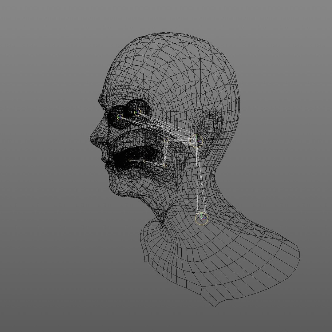 realistic rigged head 70 3D https://p.turbosquid.com/ts-thumb/5z/aU4pdg/MDCHImyu/70yreurowomanheadv12_0013/jpg/1566517194/1920x1080/fit_q87/4e7d4cdb69fa577750c88ffd9320420be993c9be/70yreurowomanheadv12_0013.jpg