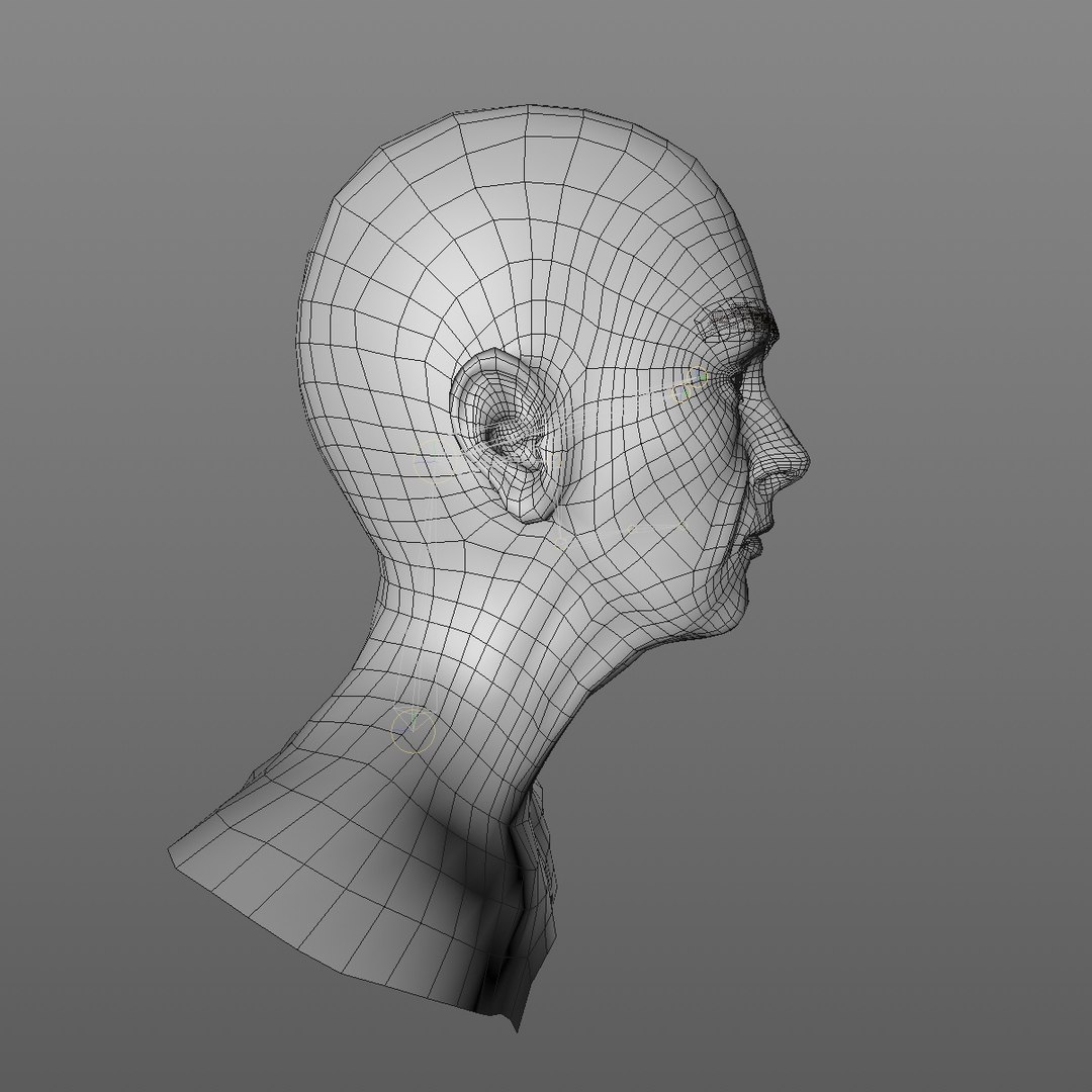 realistic rigged head 70 3D https://p.turbosquid.com/ts-thumb/5z/aU4pdg/NgWiBvTr/70yreurowomanheadv12_0009/jpg/1566517193/1920x1080/fit_q87/47a2a8e6043569dc482903fd8f82ec61098daed8/70yreurowomanheadv12_0009.jpg