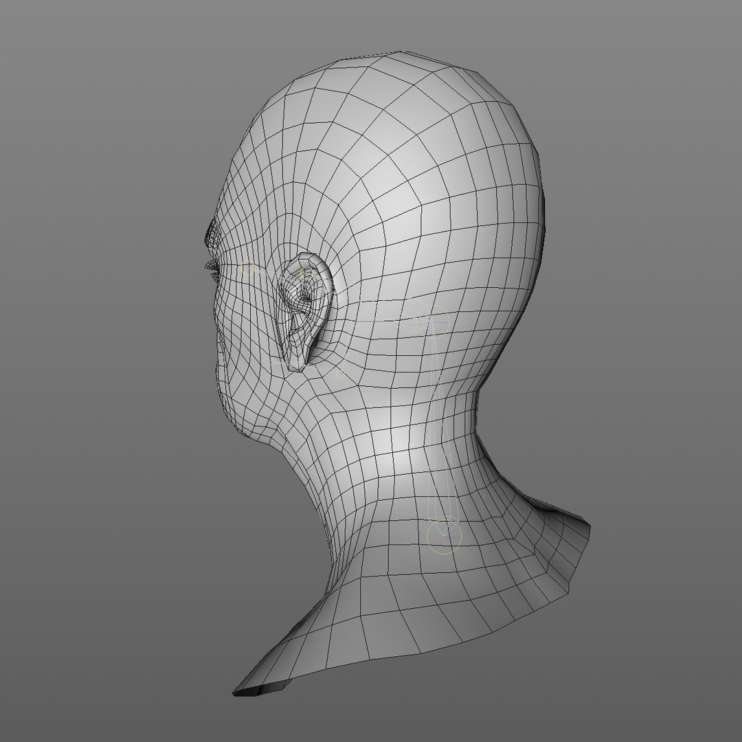 realistic rigged head 70 3D https://p.turbosquid.com/ts-thumb/5z/aU4pdg/PlB1PsfE/70yroldafricanwomanheadv12_0004/jpg/1566517440/1920x1080/fit_q87/2788c82d6dc02529cf05bb7a7f0dfb9b19155ec8/70yroldafricanwomanheadv12_0004.jpg