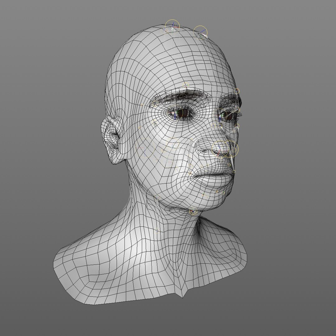 realistic rigged head 70 3D https://p.turbosquid.com/ts-thumb/5z/aU4pdg/RaZ6CCmM/70yroldafricanwomanheadv22_0011/jpg/1566517630/1920x1080/fit_q87/5d2e78dd5d0a7c3c64a83c70e8830d7bd0b0e623/70yroldafricanwomanheadv22_0011.jpg