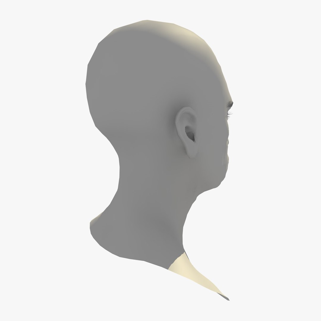 realistic rigged head 70 3D https://p.turbosquid.com/ts-thumb/5z/aU4pdg/TGLygugN/70yroldafricanwomanheadv21_0008/jpg/1566517629/1920x1080/fit_q87/1769c5afab5863452027a09fd1195a5a696428a7/70yroldafricanwomanheadv21_0008.jpg