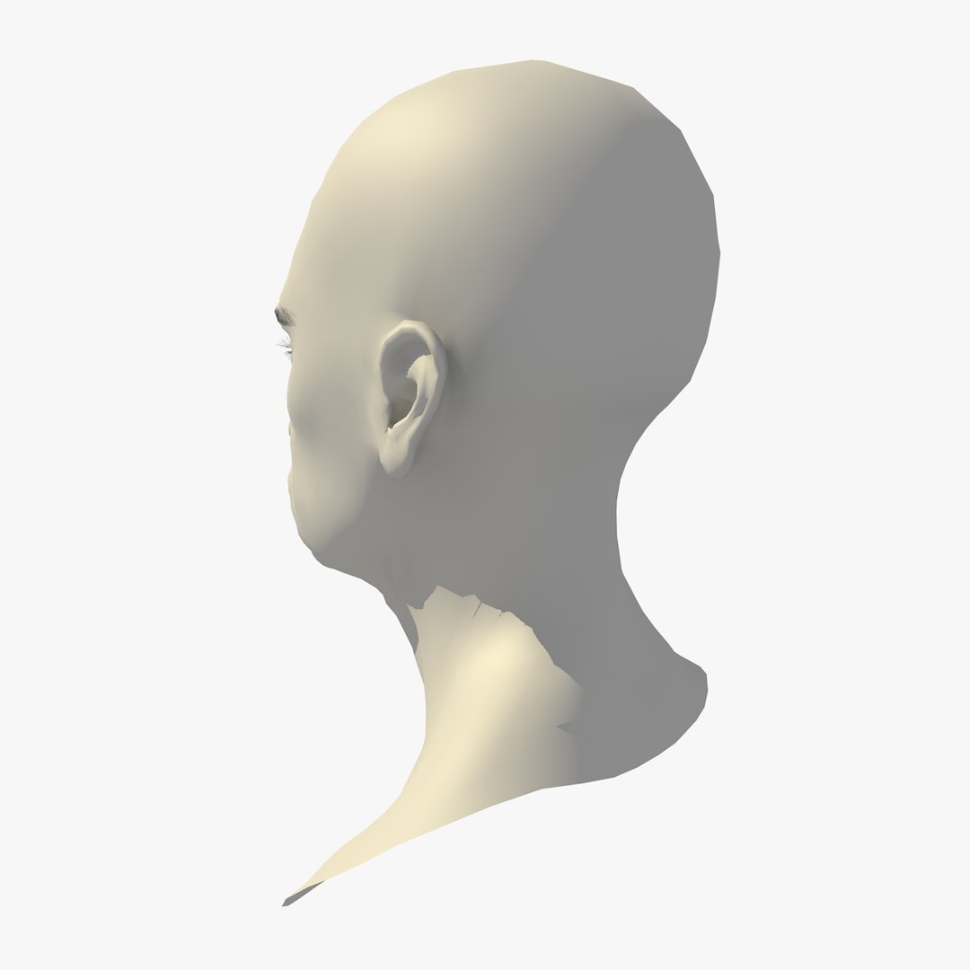 realistic rigged head 70 3D https://p.turbosquid.com/ts-thumb/5z/aU4pdg/V9GYaBCq/70yroldafricanwomanheadv21_0004/jpg/1566517628/1920x1080/fit_q87/e040f50e57c8747ae4dcc1bfade150a7f3ab1e59/70yroldafricanwomanheadv21_0004.jpg