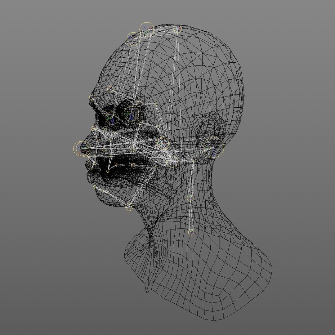 realistic rigged head 70 3D https://p.turbosquid.com/ts-thumb/5z/aU4pdg/VXNHTbMp/70yroldafricanwomanheadv22_0013/jpg/1566517630/1920x1080/fit_q87/78b3e948b26ea20f12e805fea0e59812b1361a7e/70yroldafricanwomanheadv22_0013.jpg