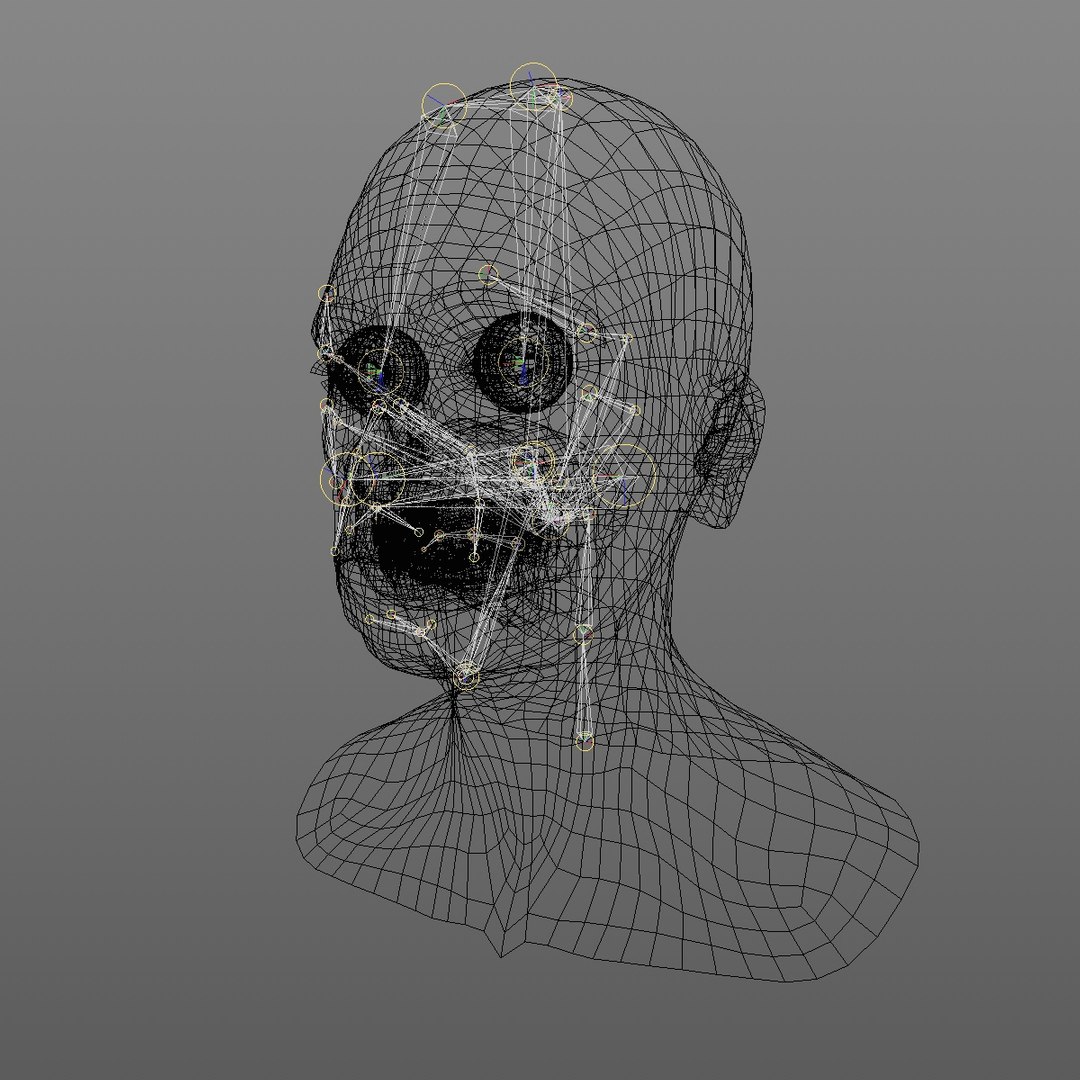 realistic rigged head 70 3D https://p.turbosquid.com/ts-thumb/5z/aU4pdg/WGsEK1ls/70yroldafricanwomanheadv22_0012/jpg/1566517630/1920x1080/fit_q87/a87fad4fd67c68503cef9d868bbbf1ece626410b/70yroldafricanwomanheadv22_0012.jpg