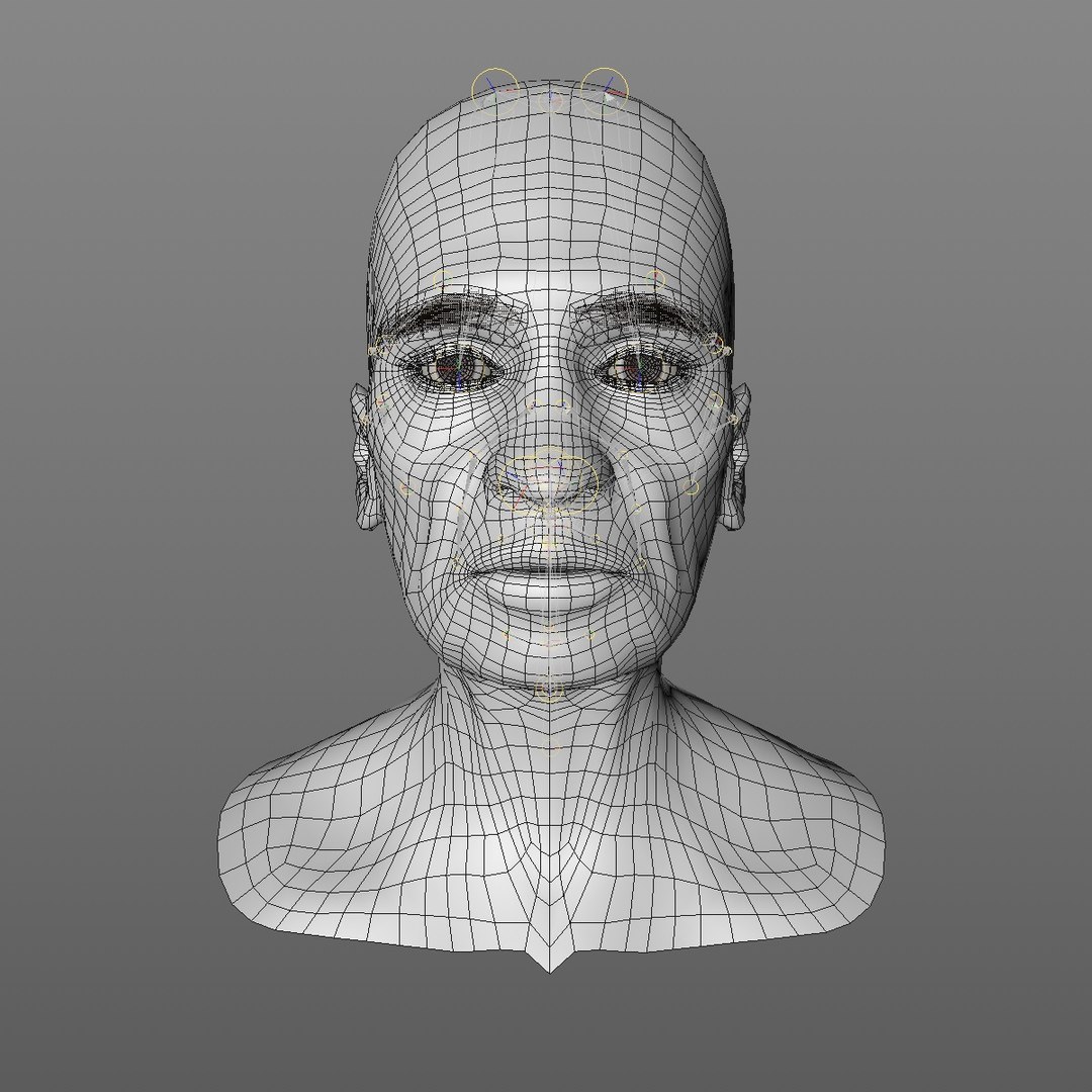 realistic rigged head 70 3D https://p.turbosquid.com/ts-thumb/5z/aU4pdg/XtWUo71V/70yroldafricanwomanheadv22_0000/jpg/1566517629/1920x1080/fit_q87/7f27d0cfd131e761423942b60bea0214c2194c8b/70yroldafricanwomanheadv22_0000.jpg