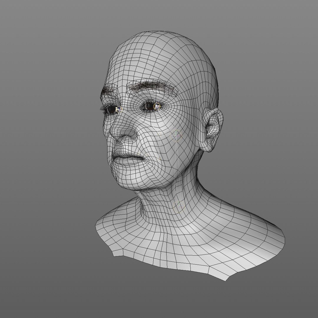 realistic rigged head 70 3D https://p.turbosquid.com/ts-thumb/5z/aU4pdg/YXJu1U0M/70yreurowomanheadv12_0001/jpg/1566517192/1920x1080/fit_q87/ddce973e61ccfeebf81256ffc6384662136f292e/70yreurowomanheadv12_0001.jpg