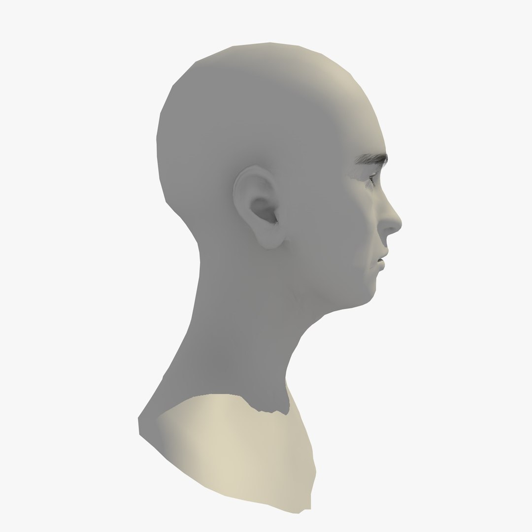 realistic rigged head 70 3D https://p.turbosquid.com/ts-thumb/5z/aU4pdg/aRGzUlNv/70yreurowomanheadv20_0009/jpg/1566517316/1920x1080/fit_q87/58c33927ed5f6a12f81d888dc33ffa81fac1e87a/70yreurowomanheadv20_0009.jpg