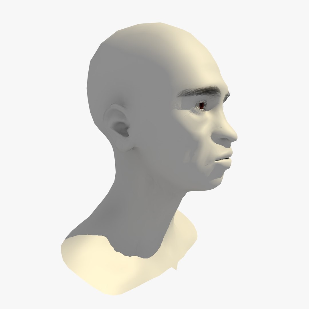 realistic rigged head 70 3D https://p.turbosquid.com/ts-thumb/5z/aU4pdg/bqoUbWIM/70yroldafricanwomanheadv21_0010/jpg/1566517629/1920x1080/fit_q87/f9867c1ceebfececb48de89db1c83398678d1637/70yroldafricanwomanheadv21_0010.jpg