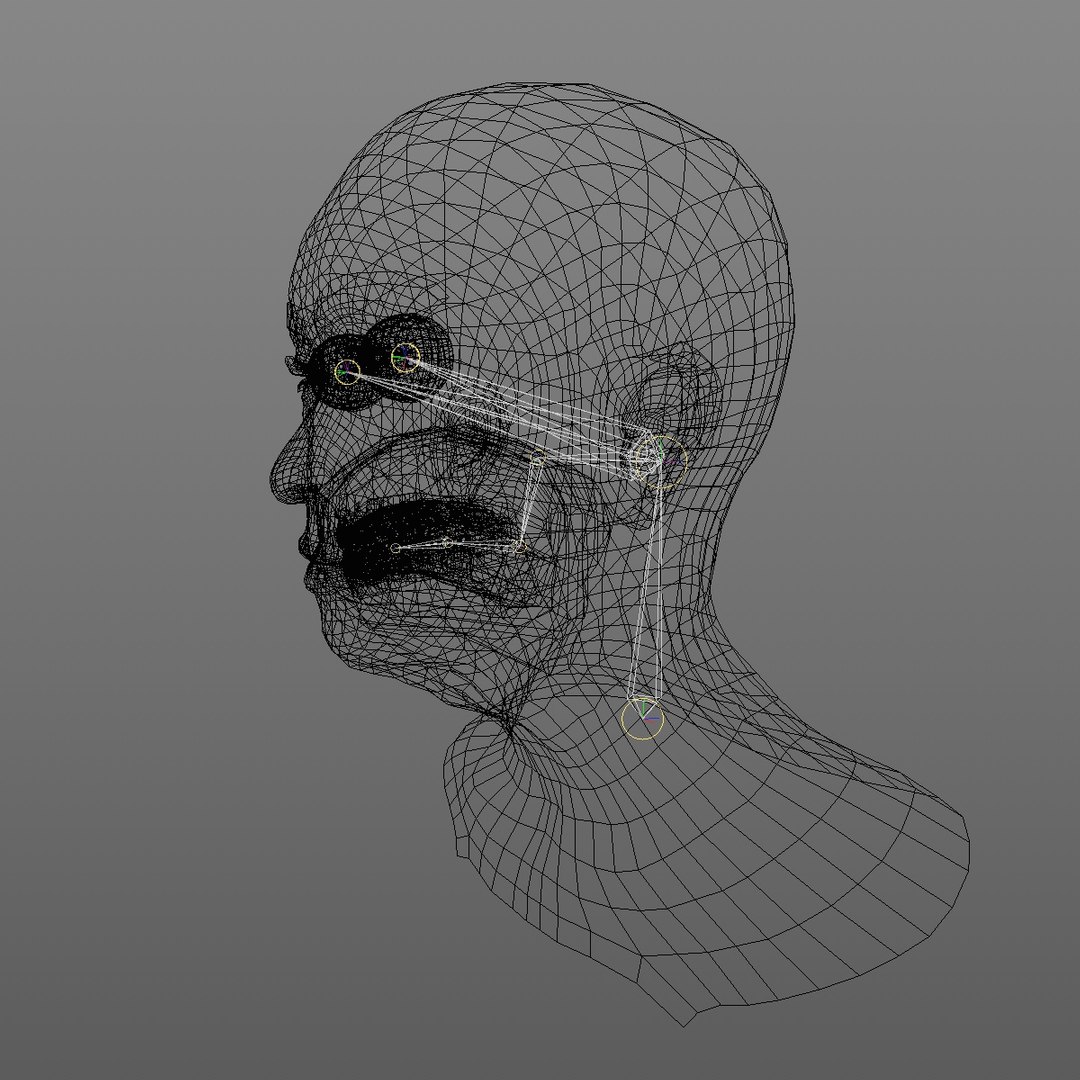 realistic rigged head 70 3D https://p.turbosquid.com/ts-thumb/5z/aU4pdg/c80IuBpj/70yroldasianwomanheadv12_0013/jpg/1566517779/1920x1080/fit_q87/d3c64b470548872dfe783d3336119243346a6544/70yroldasianwomanheadv12_0013.jpg