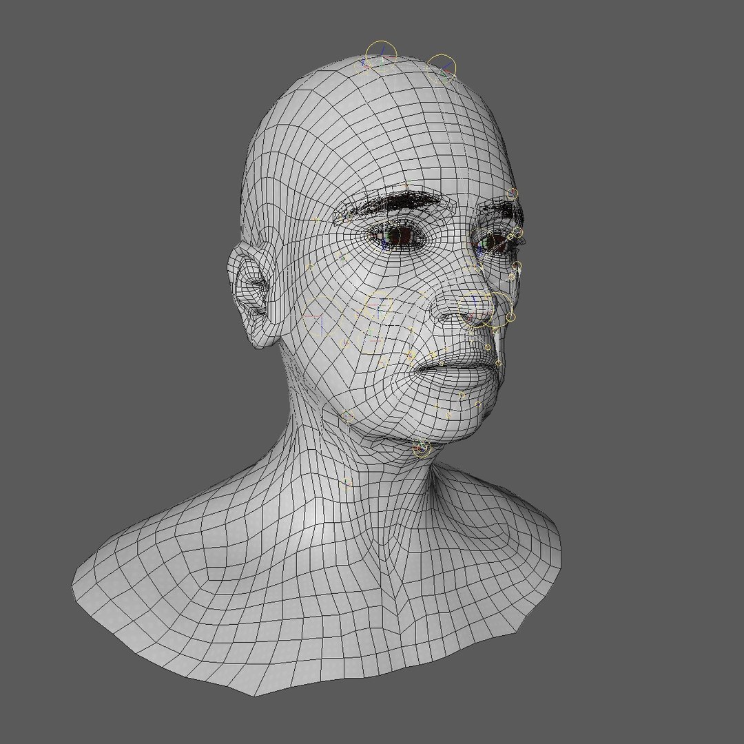 realistic rigged head 70 3D https://p.turbosquid.com/ts-thumb/5z/aU4pdg/f11nzqiz/70yreurowomanheadv21_0011/jpg/1566517318/1920x1080/fit_q87/c1fd761d298f50984cad6ead5e6b6f998f174fcc/70yreurowomanheadv21_0011.jpg