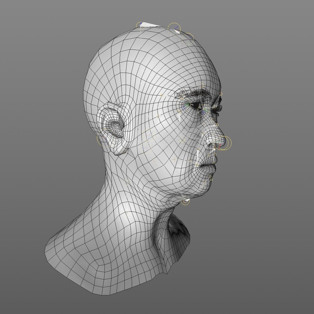 realistic rigged head 70 3D https://p.turbosquid.com/ts-thumb/5z/aU4pdg/fYIKdFMN/70yroldasianwomanheadv22_0010/jpg/1566517926/1920x1080/fit_q87/c3f8c95291fb1fae81b02291733430253b741d56/70yroldasianwomanheadv22_0010.jpg