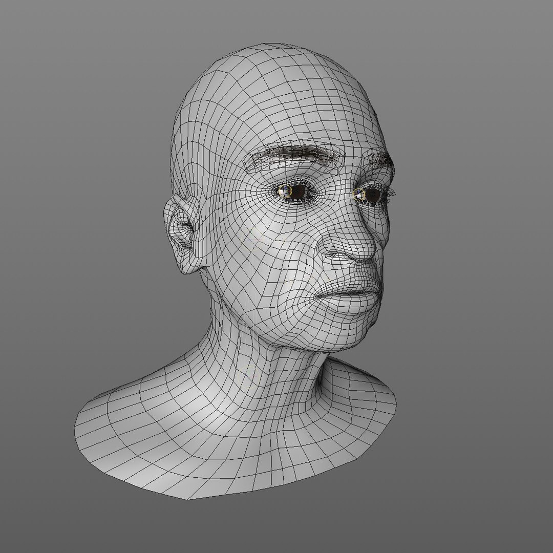 realistic rigged head 70 3D https://p.turbosquid.com/ts-thumb/5z/aU4pdg/j21KlwFh/70yroldafricanwomanheadv12_0011/jpg/1566517441/1920x1080/fit_q87/8825246c0e7086051db858c6560996a52717b9e7/70yroldafricanwomanheadv12_0011.jpg