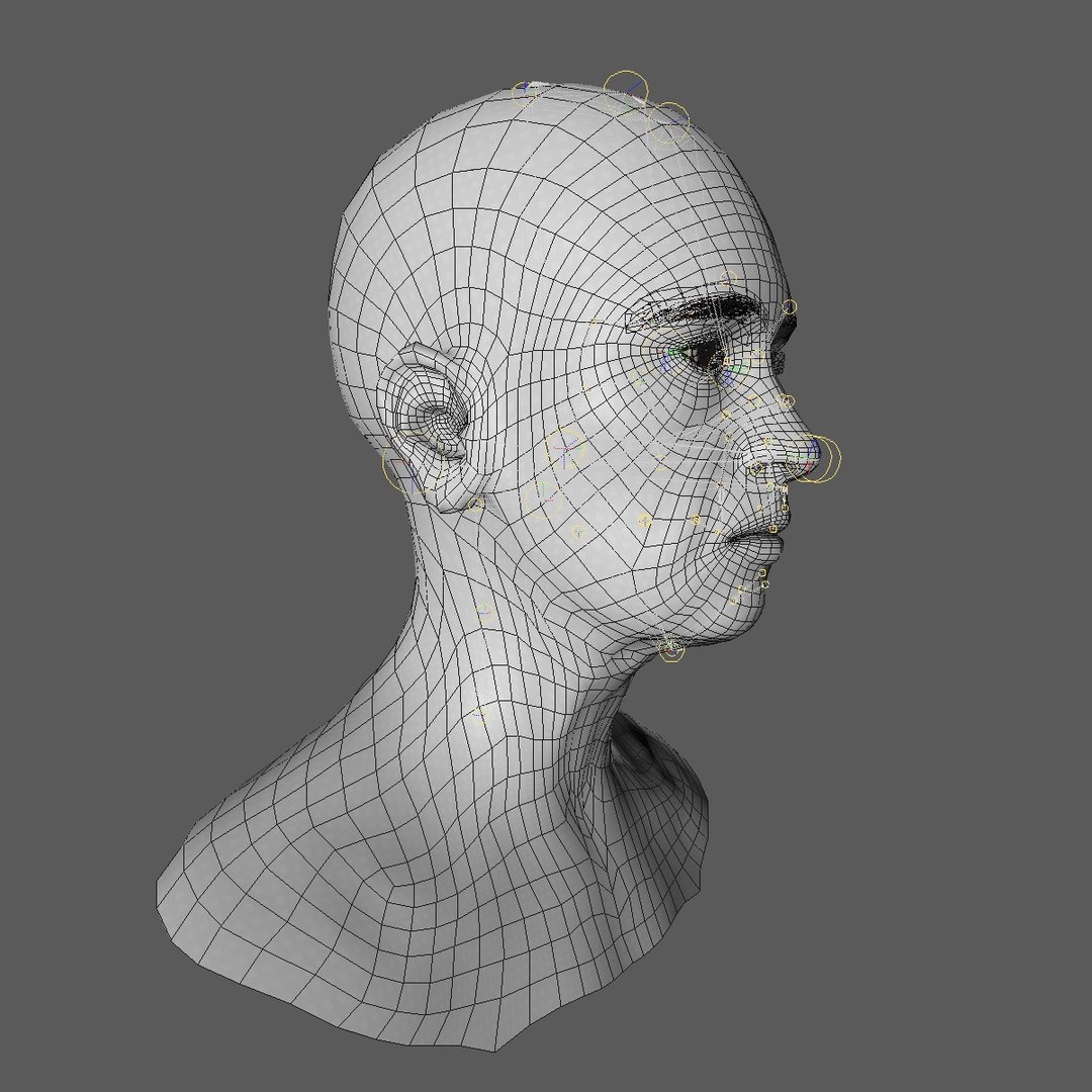 realistic rigged head 70 3D https://p.turbosquid.com/ts-thumb/5z/aU4pdg/kuhLFeLg/70yreurowomanheadv21_0010/jpg/1566517318/1920x1080/fit_q87/45a98c1715b10c56b215ae473f7816ad3954f9c7/70yreurowomanheadv21_0010.jpg