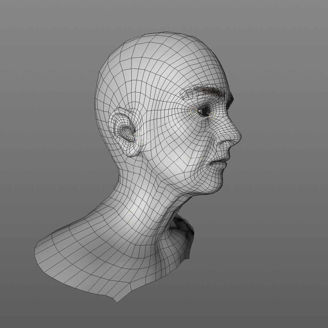 realistic rigged head 70 3D https://p.turbosquid.com/ts-thumb/5z/aU4pdg/mSD0tEyo/70yreurowomanheadv12_0010/jpg/1566517193/1920x1080/fit_q87/1a3942c3b30cfd7a8e3735492efc376972b868a3/70yreurowomanheadv12_0010.jpg