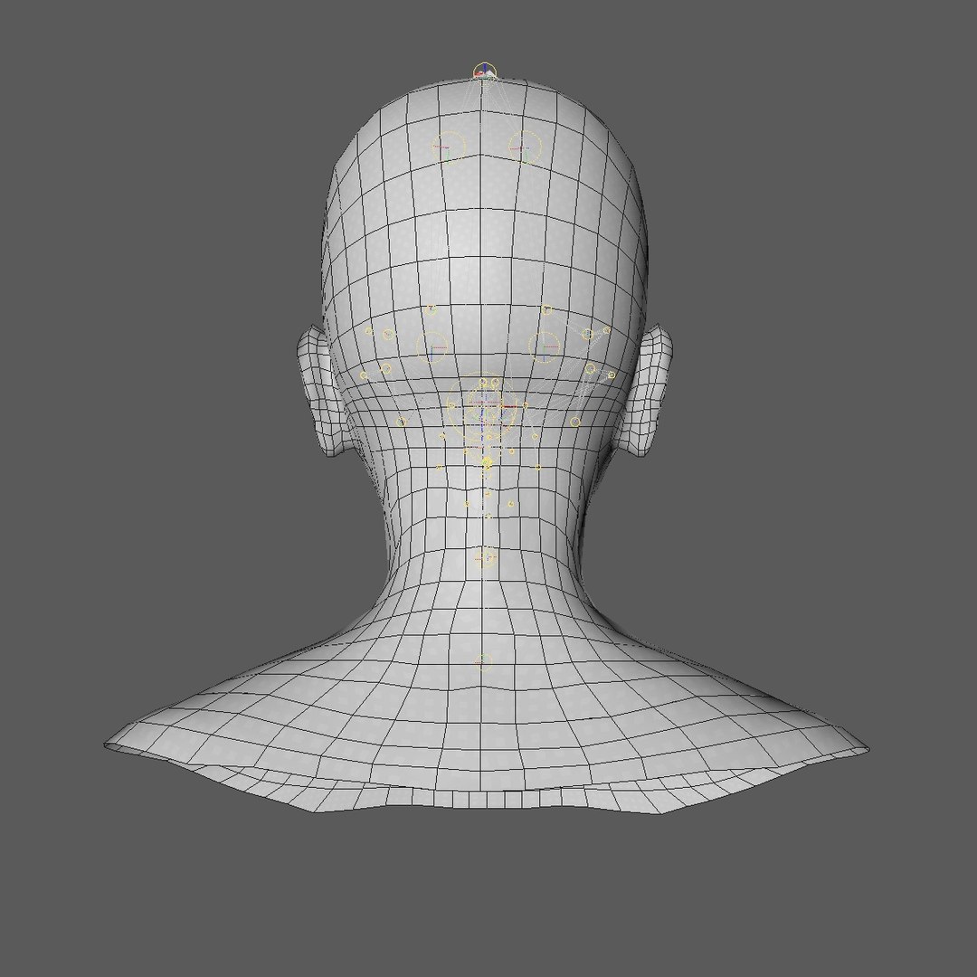 realistic rigged head 70 3D https://p.turbosquid.com/ts-thumb/5z/aU4pdg/mvAIs4ev/70yreurowomanheadv21_0006/jpg/1566517317/1920x1080/fit_q87/534e05e7652d30295159af6bad220afb3bf4d399/70yreurowomanheadv21_0006.jpg