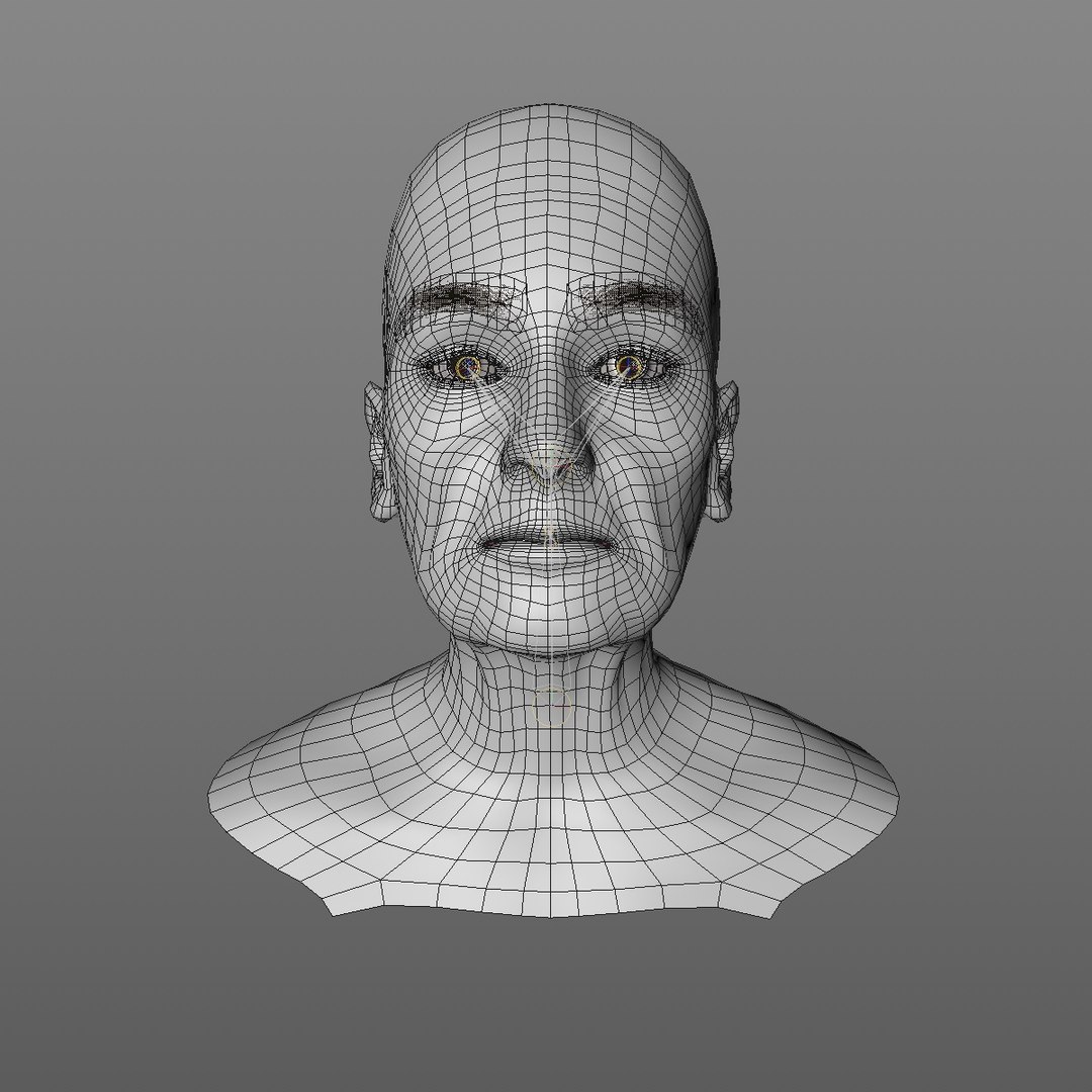 realistic rigged head 70 3D https://p.turbosquid.com/ts-thumb/5z/aU4pdg/nfEEiCQj/70yreurowomanheadv12_0000/jpg/1566517192/1920x1080/fit_q87/10f5008e3e0a0f01ba8878ea1c2f9318a9298812/70yreurowomanheadv12_0000.jpg