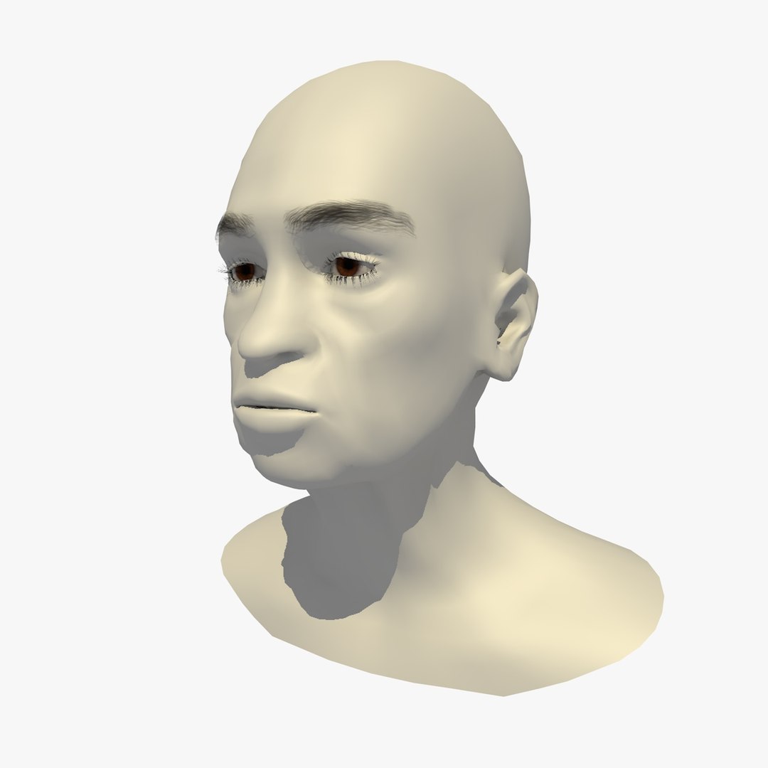 realistic rigged head 70 3D https://p.turbosquid.com/ts-thumb/5z/aU4pdg/o09A5rAk/70yroldafricanwomanheadv11_0001/jpg/1566517438/1920x1080/fit_q87/177b7d742d0a8225bdf2e4a61e064a4e60e2ebd8/70yroldafricanwomanheadv11_0001.jpg