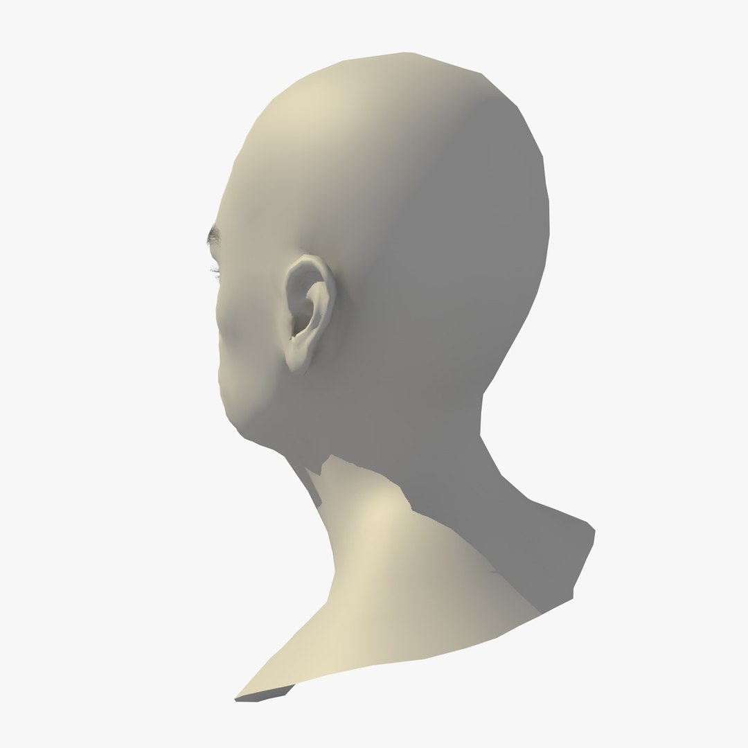 realistic rigged head 70 3D https://p.turbosquid.com/ts-thumb/5z/aU4pdg/oT81Pdvw/70yroldafricanwomanheadv11_0004/jpg/1566517438/1920x1080/fit_q87/f4cffc1e4b653552b5a14a8228eb3b0686ac9d73/70yroldafricanwomanheadv11_0004.jpg