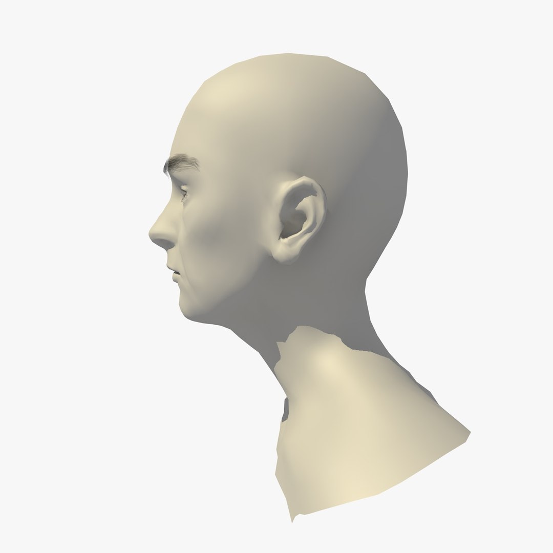 realistic rigged head 70 3D https://p.turbosquid.com/ts-thumb/5z/aU4pdg/oesTsKwp/70yreurowomanheadv11_0003/jpg/1566517191/1920x1080/fit_q87/5ddf6ad623cffbeceaf460313658f23f238d455d/70yreurowomanheadv11_0003.jpg