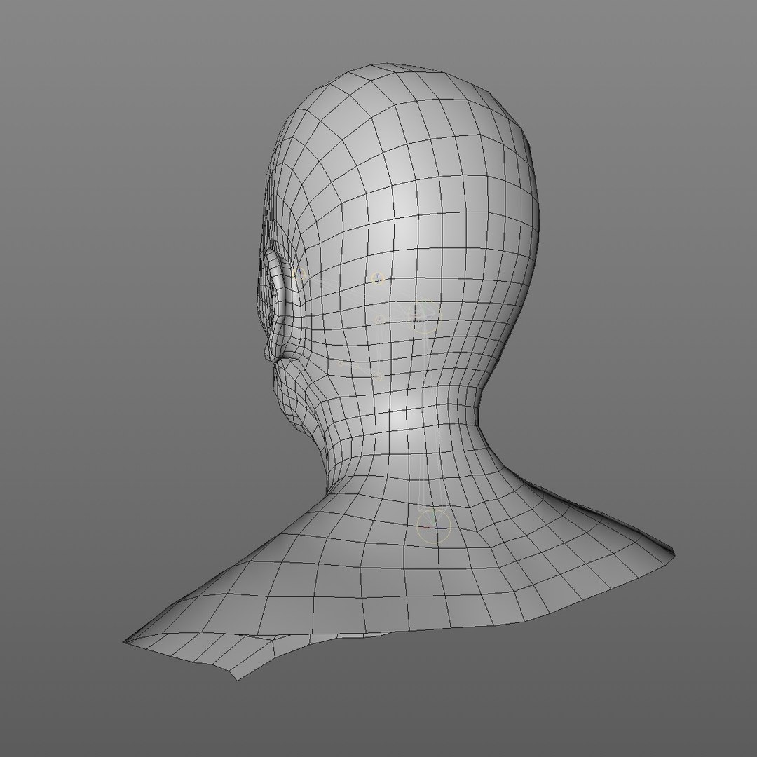 realistic rigged head 70 3D https://p.turbosquid.com/ts-thumb/5z/aU4pdg/pqppVI81/70yreurowomanheadv12_0005/jpg/1566517193/1920x1080/fit_q87/92bda690b660350a4e9ce8c883586a88853eefd4/70yreurowomanheadv12_0005.jpg