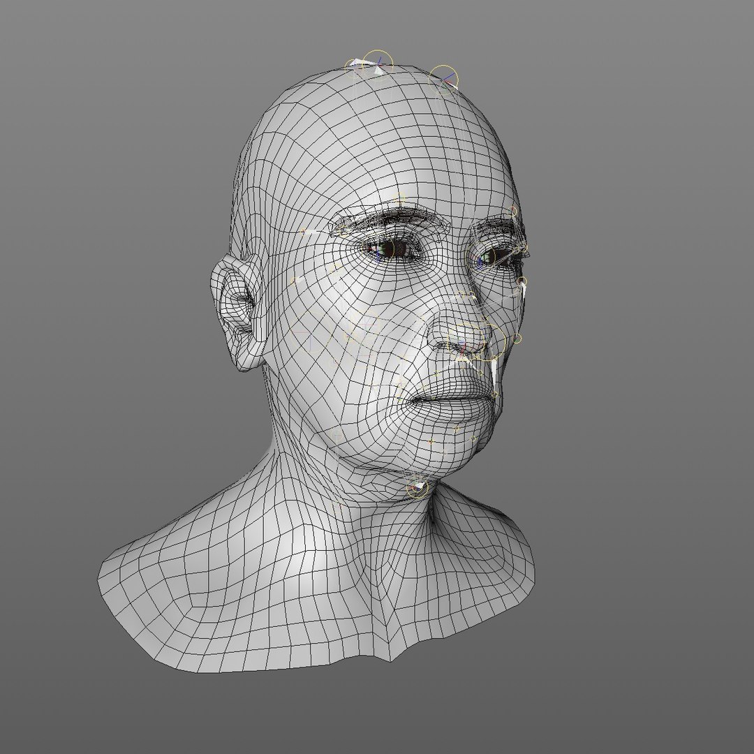 realistic rigged head 70 3D https://p.turbosquid.com/ts-thumb/5z/aU4pdg/q2O9lvg5/70yroldasianwomanheadv22_0011/jpg/1566517927/1920x1080/fit_q87/70af3e4b215890a1d5437e28dc49a3ea3b86819a/70yroldasianwomanheadv22_0011.jpg