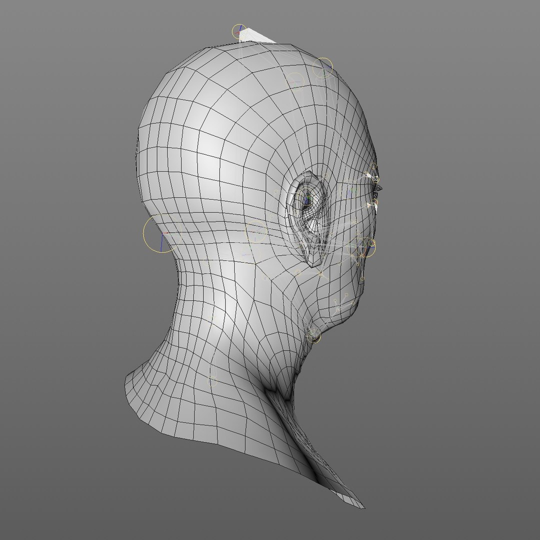 realistic rigged head 70 3D https://p.turbosquid.com/ts-thumb/5z/aU4pdg/qvKxsyyz/70yroldasianwomanheadv22_0008/jpg/1566517926/1920x1080/fit_q87/741d8974550c1a965a434886d80821348e78ecee/70yroldasianwomanheadv22_0008.jpg