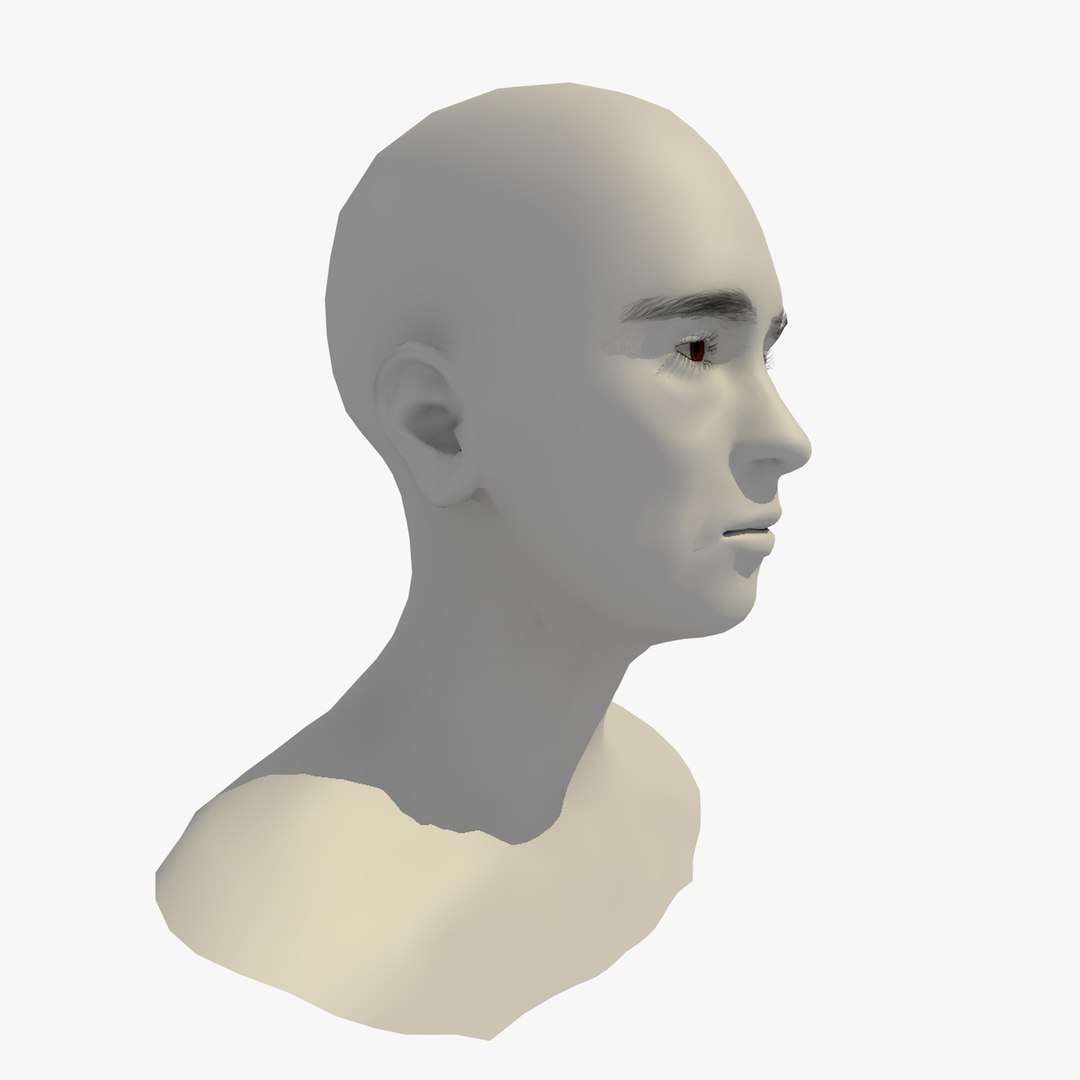 realistic rigged head 70 3D https://p.turbosquid.com/ts-thumb/5z/aU4pdg/rGkFbcf1/70yreurowomanheadv20_0010/jpg/1566517316/1920x1080/fit_q87/092d165e2a5309d349e34a5a2e5bb9c261ec1c0b/70yreurowomanheadv20_0010.jpg