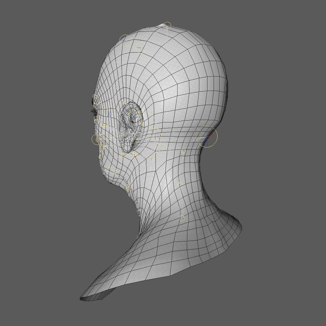 realistic rigged head 70 3D https://p.turbosquid.com/ts-thumb/5z/aU4pdg/wMlMLAVS/70yreurowomanheadv21_0004/jpg/1566517317/1920x1080/fit_q87/7d51072831466e1c4f82fa46a286448f77e19d99/70yreurowomanheadv21_0004.jpg