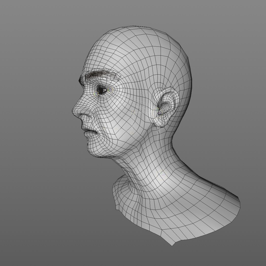 realistic rigged head 70 3D https://p.turbosquid.com/ts-thumb/5z/aU4pdg/wsNWLokc/70yreurowomanheadv12_0002/jpg/1566517193/1920x1080/fit_q87/41e4374558e704698e63b2b7421bbf3d691e01fa/70yreurowomanheadv12_0002.jpg