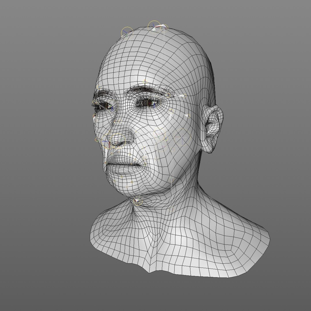 realistic rigged head 70 3D https://p.turbosquid.com/ts-thumb/5z/aU4pdg/y4hyXHly/70yroldasianwomanheadv22_0001/jpg/1566517926/1920x1080/fit_q87/3d9d875ae27c987ed1ba38f2e80ee0ee12040623/70yroldasianwomanheadv22_0001.jpg