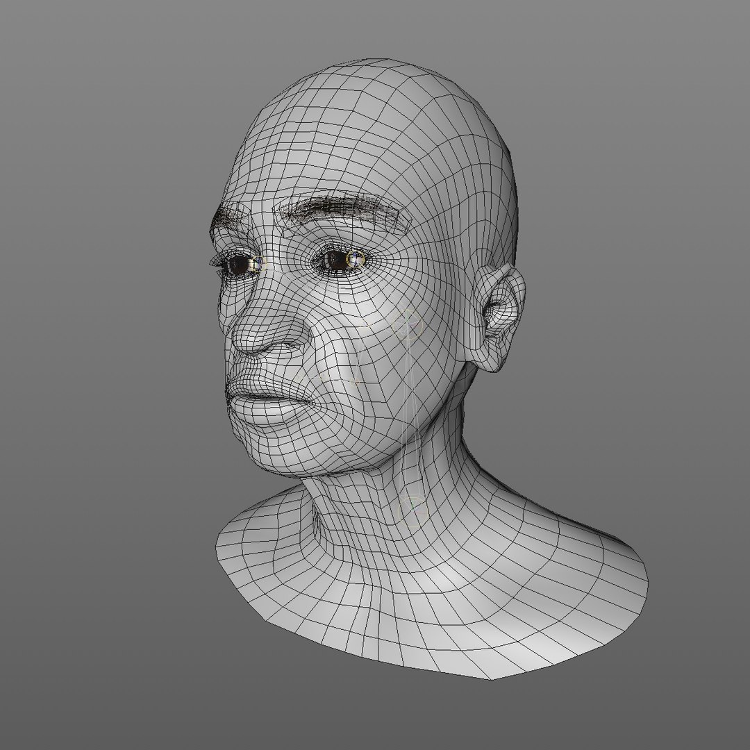realistic rigged head 70 3D https://p.turbosquid.com/ts-thumb/5z/aU4pdg/yMihrCdm/70yroldafricanwomanheadv12_0001/jpg/1566517439/1920x1080/fit_q87/87124b8981a57f135c06d1eb0bbacb65e170d373/70yroldafricanwomanheadv12_0001.jpg