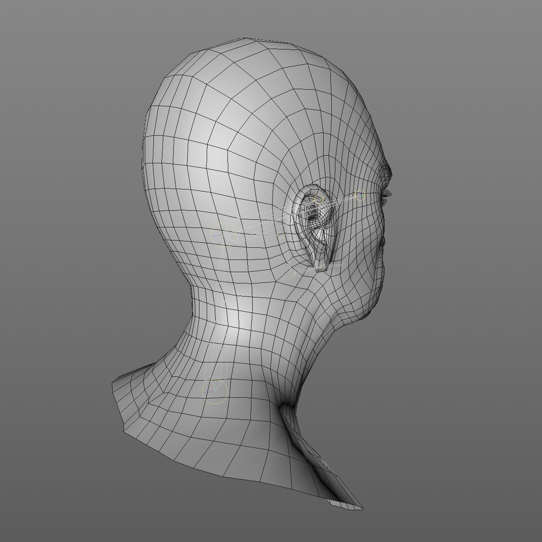 realistic rigged head 70 3D https://p.turbosquid.com/ts-thumb/5z/aU4pdg/zDrUk1yN/70yroldafricanwomanheadv12_0008/jpg/1566517440/1920x1080/fit_q87/56d3ebde1586f85facc0f6d095842c7aa73605c1/70yroldafricanwomanheadv12_0008.jpg