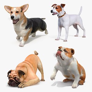 Rigged Small Dogs Collection 2