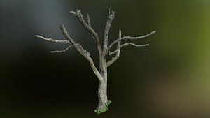 3D model games tree