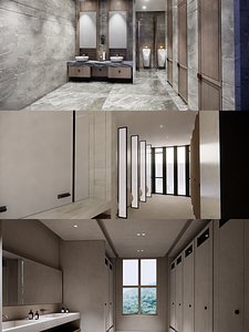 Public Bathroom Interior Scene -B5 3D model