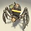 Mechanical Spider
