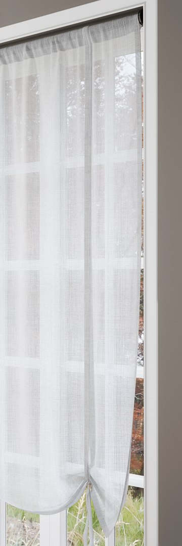 3d Model Roman Blind