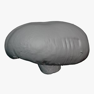 Portobello Mushroom 1 - For 3D Print 3D