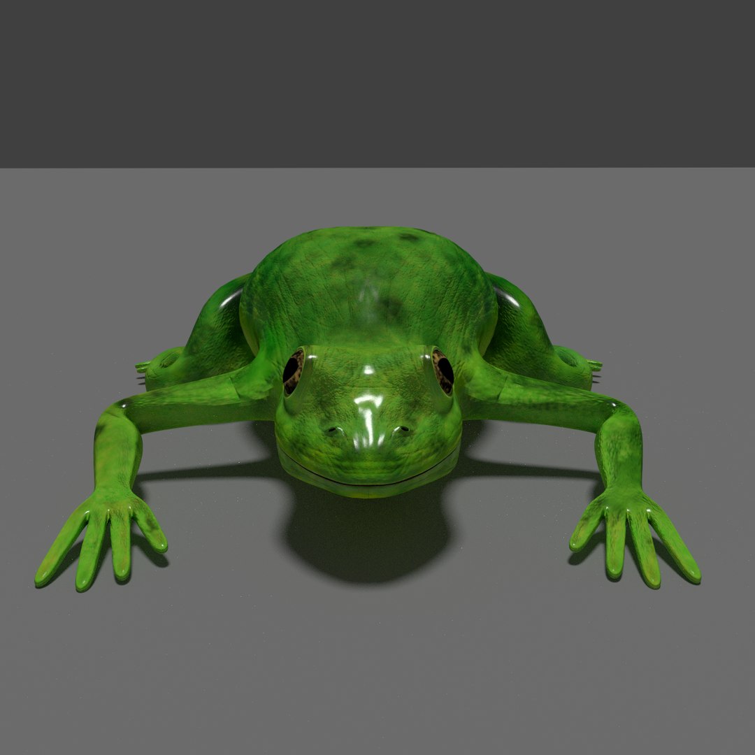 animation 3d 3ds https://p.turbosquid.com/ts-thumb/5z/yYjsLs/bmExjg2U/2/png/1483135413/1920x1080/fit_q87/e838003db0aae1149603bba966634d6146a0b19e/2.jpg