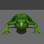 frog