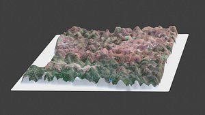 Oregon State 3D model